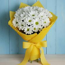 Букет цветов из:  Хризантемы в Шилово