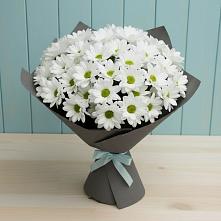 Букет цветов из:  Хризантемы #REPLACE_PRED# Шилово