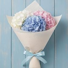 Букет цветов из:  Гортензия в Шилово
