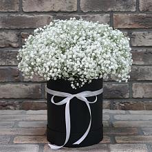 Цветочная композиция из Гипсофила в шляпной коробке в Шилово