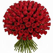 Букет Красные розы Чери Лав в Шилово