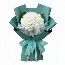 Букет цветов из:  Гортензия #REPLACE_PRED# Шилово